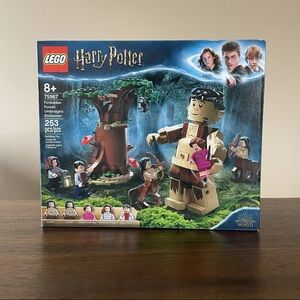 LEGO Harry Potter: Forbidden Forest: Umbridge's Encounter (75967)
